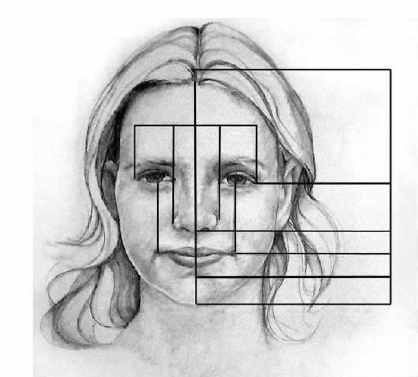 Retrouvez ici les proportions du visage et du corps humain